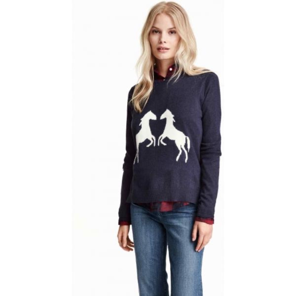 H&M Navy and White Horse Sweater